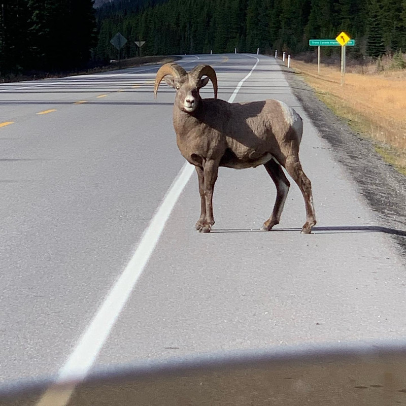 A0A9D79D-24A9-486E-BA3D-0601EB0999F6