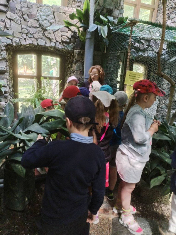 IMG-20230605-075958-538