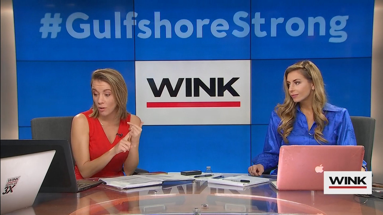 10.09 - 13.00.00 - WINK News at 8 00AM  ᴺᵉʷ..ts_snapshot_00.23.48.760