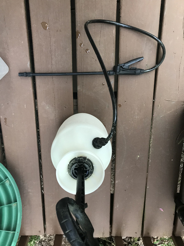 25D09F0E-C7AB-406B-BC2F-FAB440D7DD36