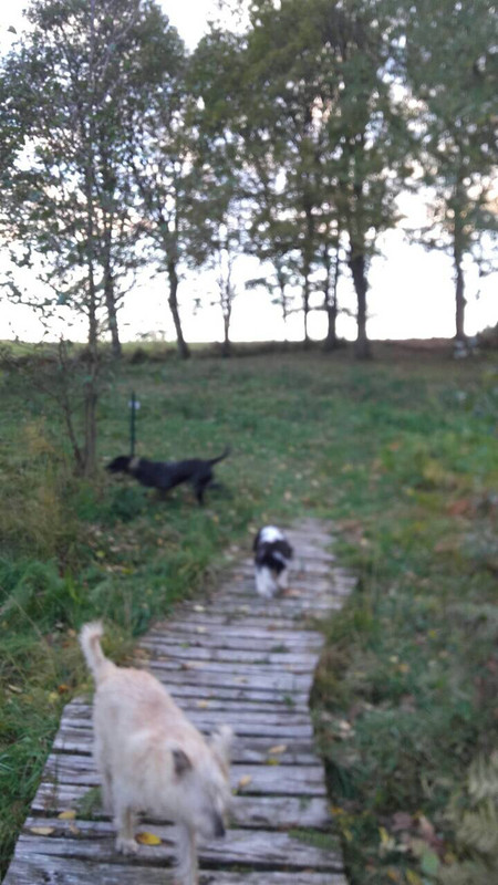 7A4D64E1-B8D9-4F77-8A5A-E11F30EEFAFA