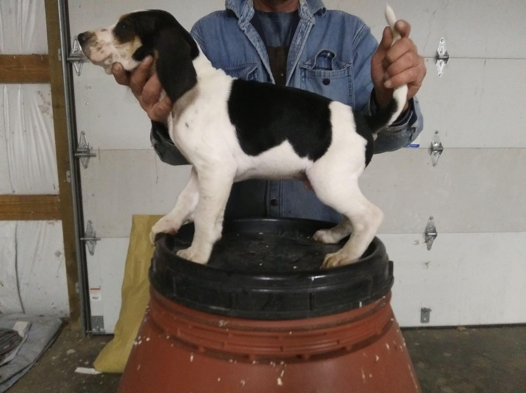 5378CE1E-06DE-4E40-9480-6DD299CA5D59