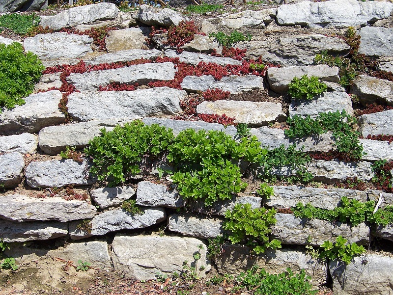 retaining walls chelsea