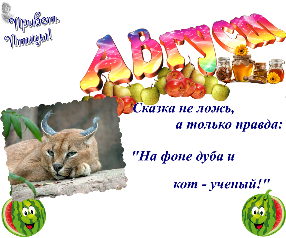 https://i.postimg.cc/W3q8ZQNc/23-08.png