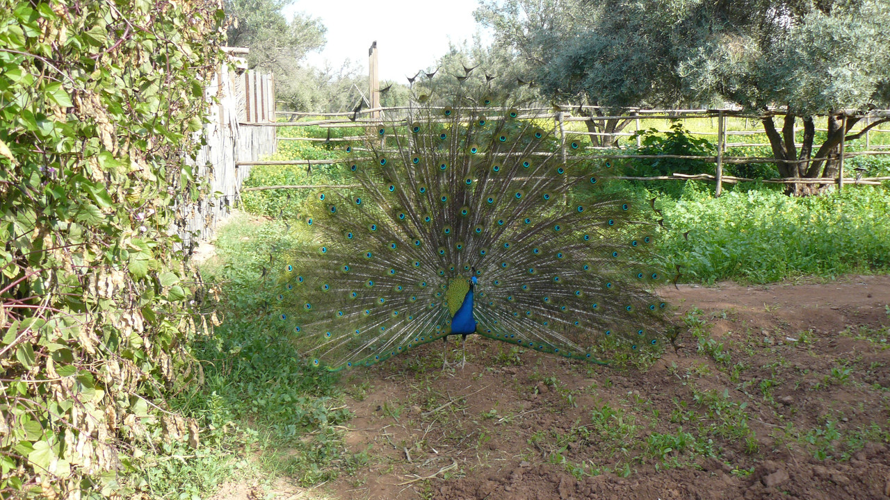 [Obrazek: P1120570.jpg]