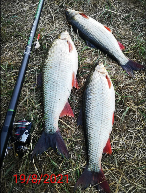 received_932153077515169(1)