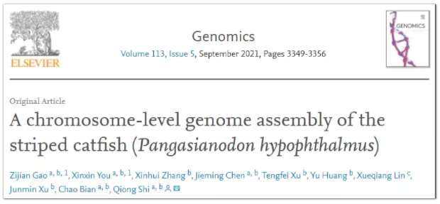 全球首个巴沙鱼染色体水平基因组-1.png