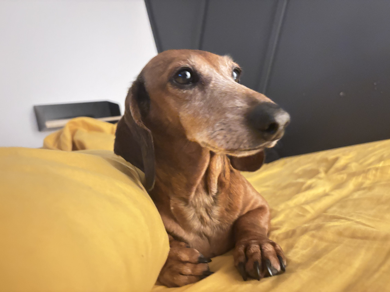 [Image: IMG-3954.jpg]