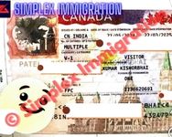 Client Visa Success Story 2