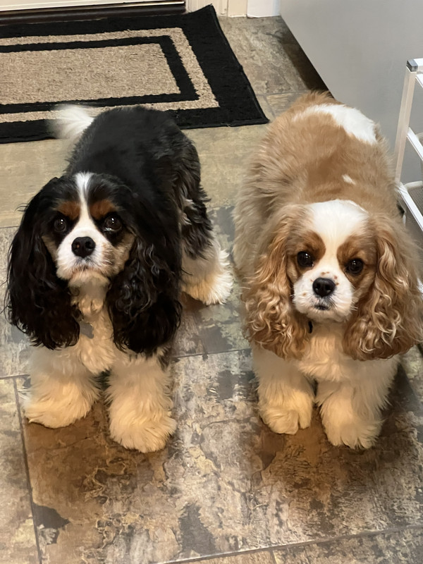 1414E043-AC6D-4249-AD46-8D29F8C0E23F