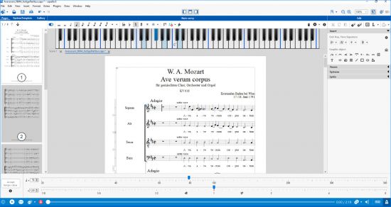 capella-software capella 9.0.12.1