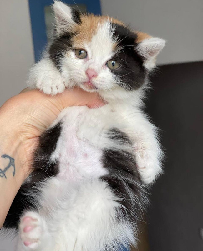 9249458A-0C17-4E68-BA23-BF4EC6BC3ED4