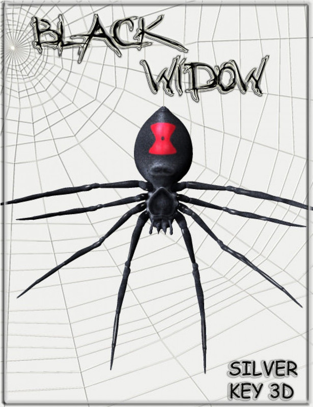 Black Widow Spider