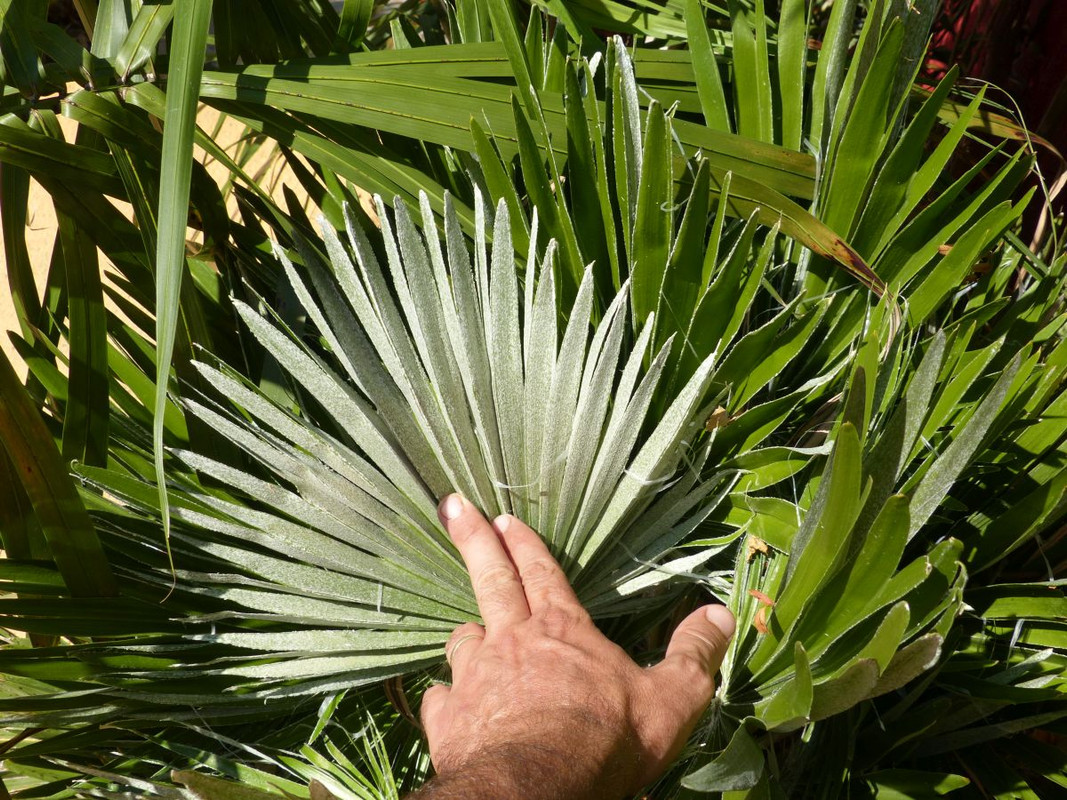 P1240384