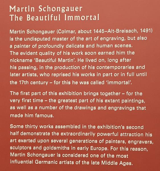 París: Exposiciones de Renoir, Matisse, Rousseau, Miguel Ángel y Rodín etc etc - Blogs de Francia - Museo del Louvre: Miguel Ángel, Rodin y Martín Schongauer (92)