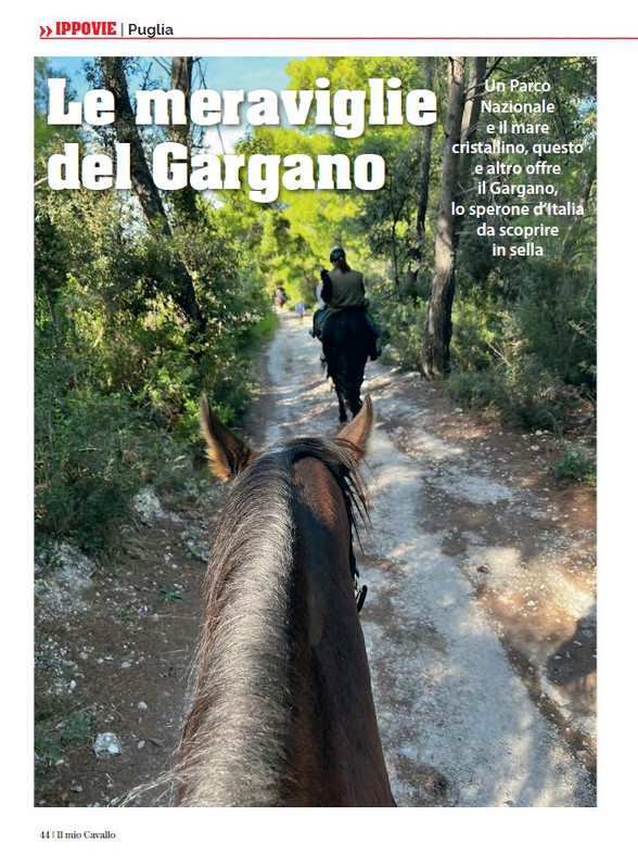 Il Mio Cav (Lug-Ago 2023) 5