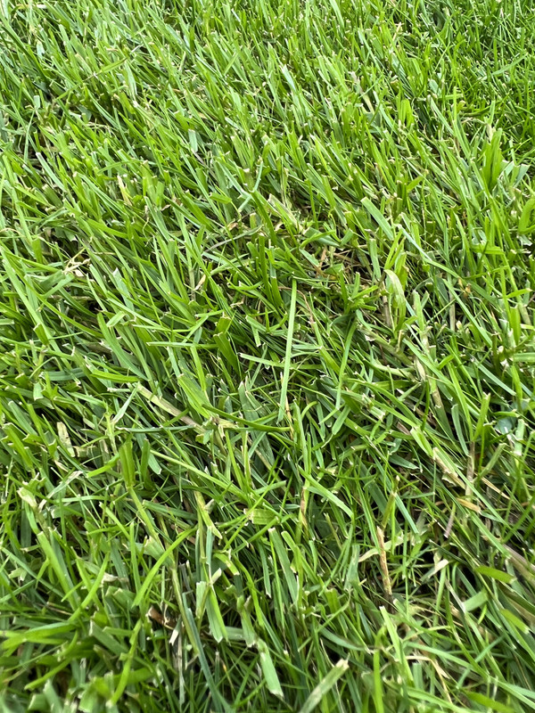 E8240BA5-CAEA-4BC5-84EF-C8017F0783FD