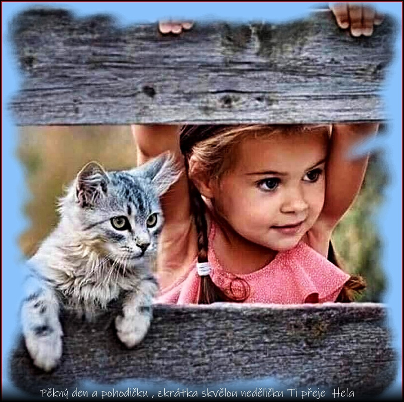 neděle16.6.2024úúprava