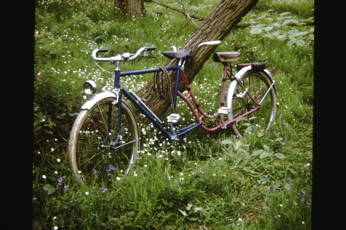 RPICT0020
