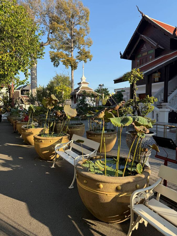 Блестяшки и вкусняшки: Новый Год в Чиангмае, Хуахин, Бангкок