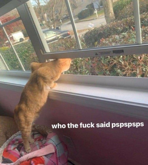 thumbs-picdump727-010.jpg