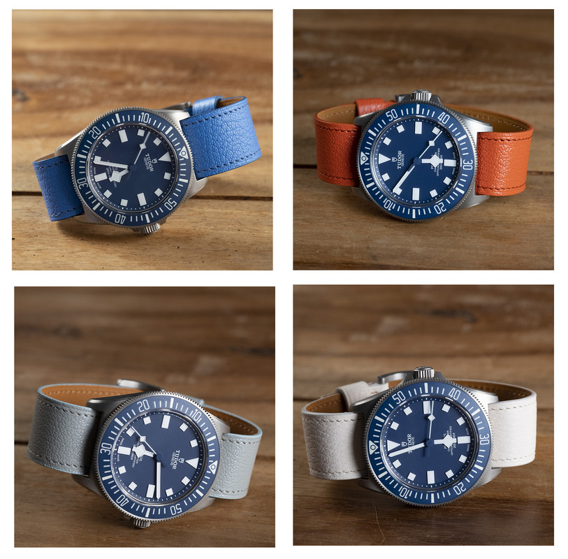 Tudor Pelagos FXD Marine Nationale - Page 40 Chevre-fxd