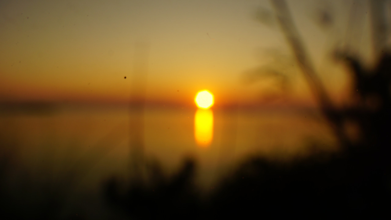 DSC01951