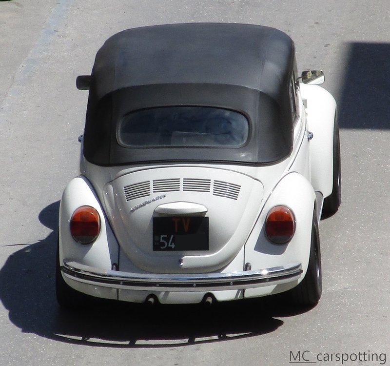 IMG-3839.jpg