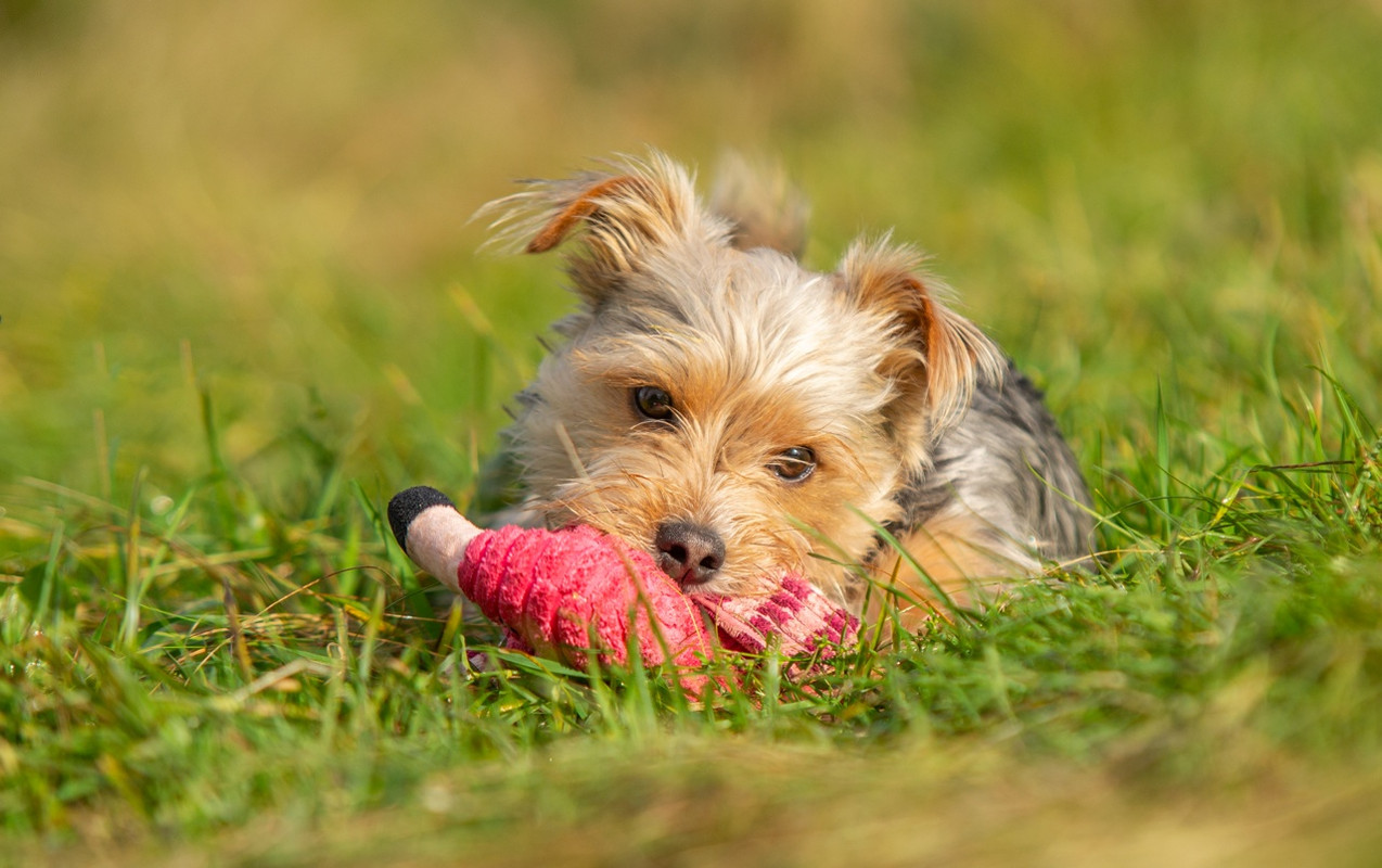 PFjscVFUzws1ZIsGTKbBUXkyJ6N13tEiKchs5382eMGrmjUSddMDFgw76bsaqCjASjo6f3k9agosoiw-LZZ3K4Th