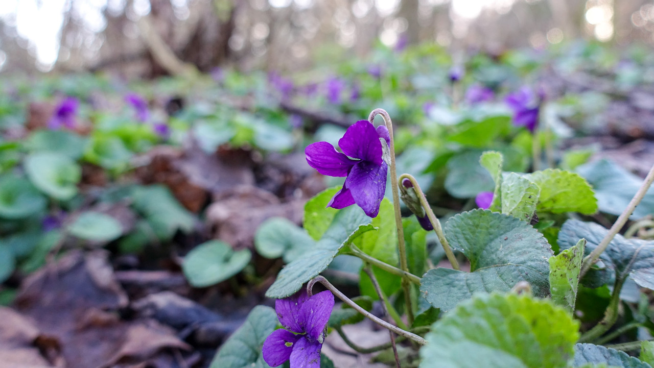 DFD101FB-7858-489D-BD99-52F6F1AEED13