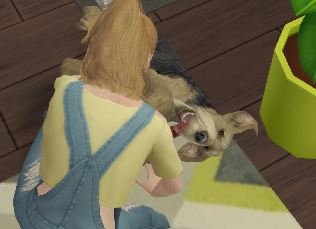 Sims2-EP9-RPC-2024-09-28-17-21-47-78