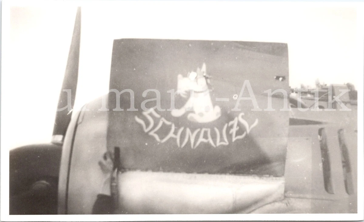 S083 photo Wehrmacht archive repro Luftwaffe aircraft Fw190 emblem coat of arms dog dog