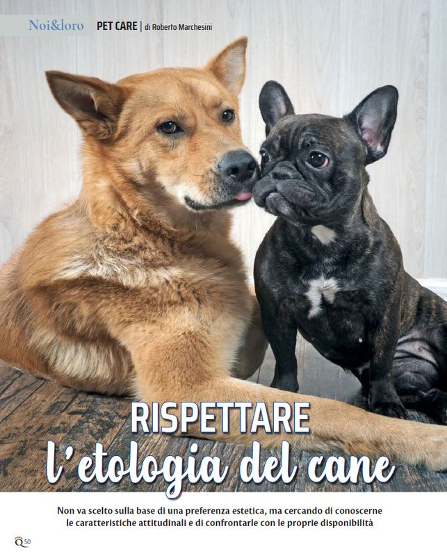 QuattroZampe Nov 2022 (5)