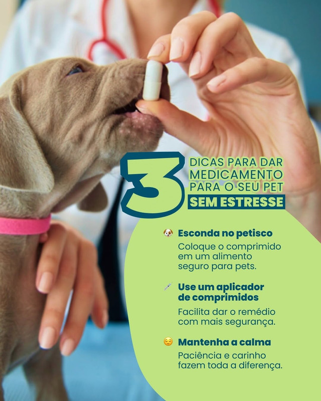 Chegou a hora de dar o remédio, mas o peludinho não facilita?