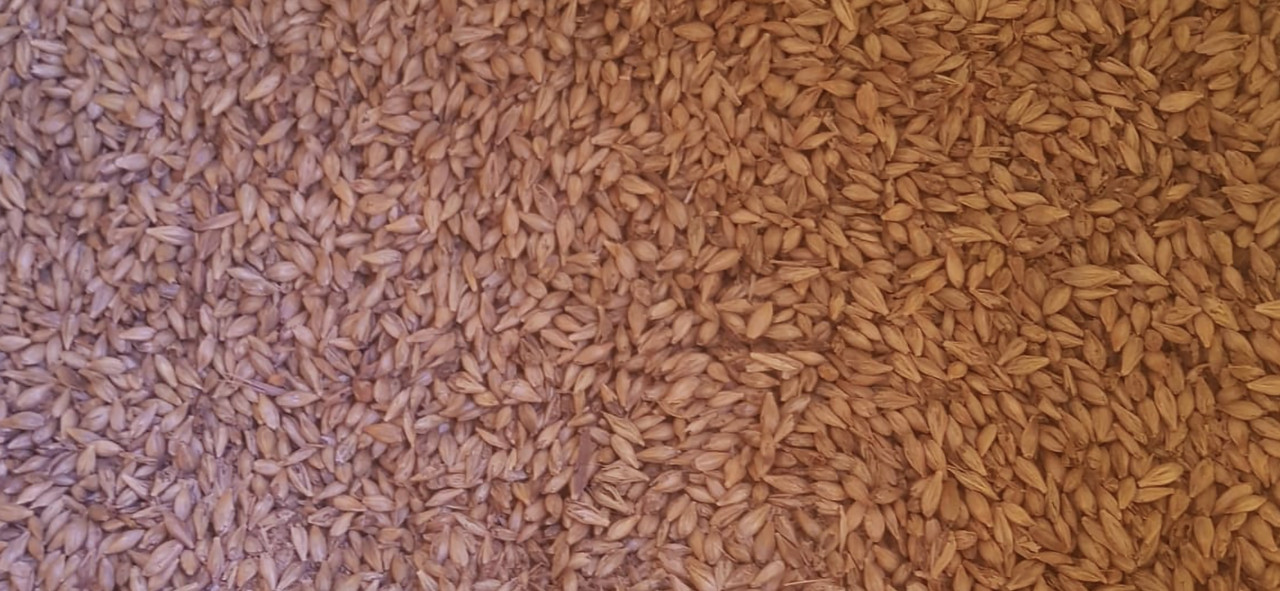 Screenshot-20260406-211640-Gallery