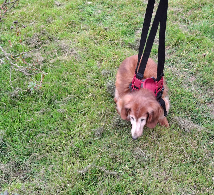 [Image: IMG-20250309-WA0002.jpg]