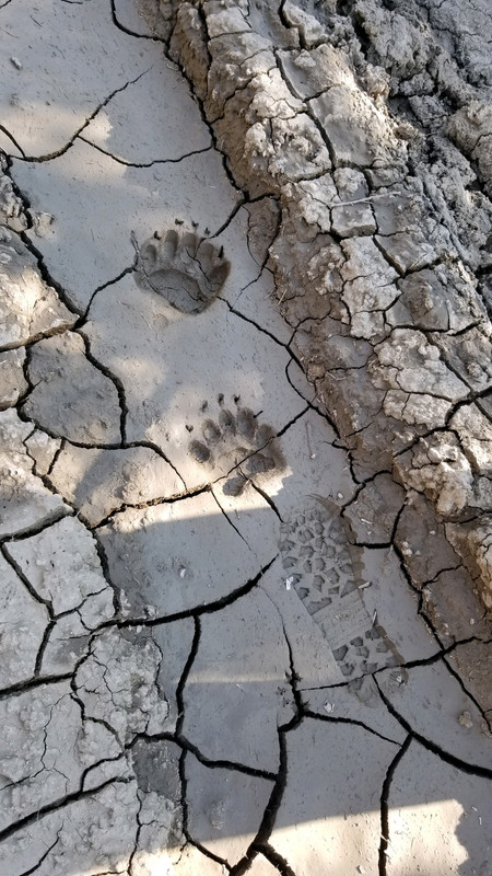 5566A256-F80E-412E-A6C6-C011B54FA933