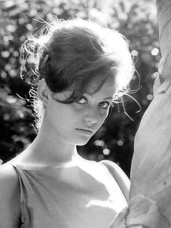 claudia_cardinale_md28
