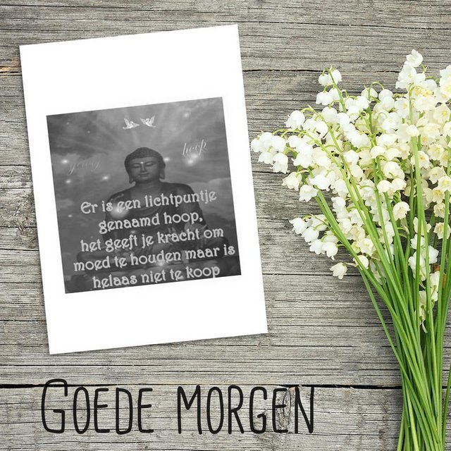 123012696-2741883852731625-3193523052575498340-n