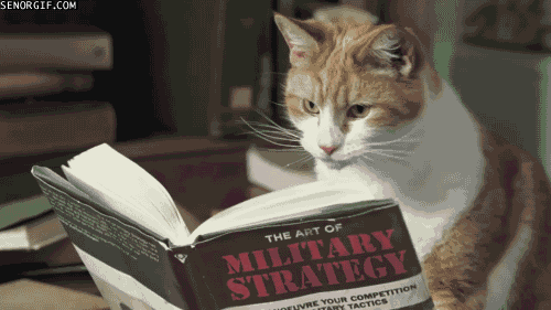 reading-cat-turn-pages