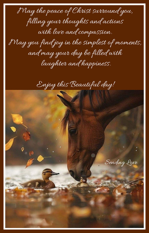 556860876-10162516849256849-375770693327049170-n