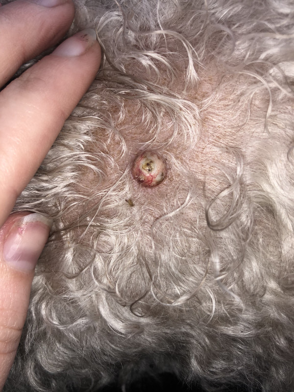 75274871-C75F-49B2-8A3E-A03473B3BB60