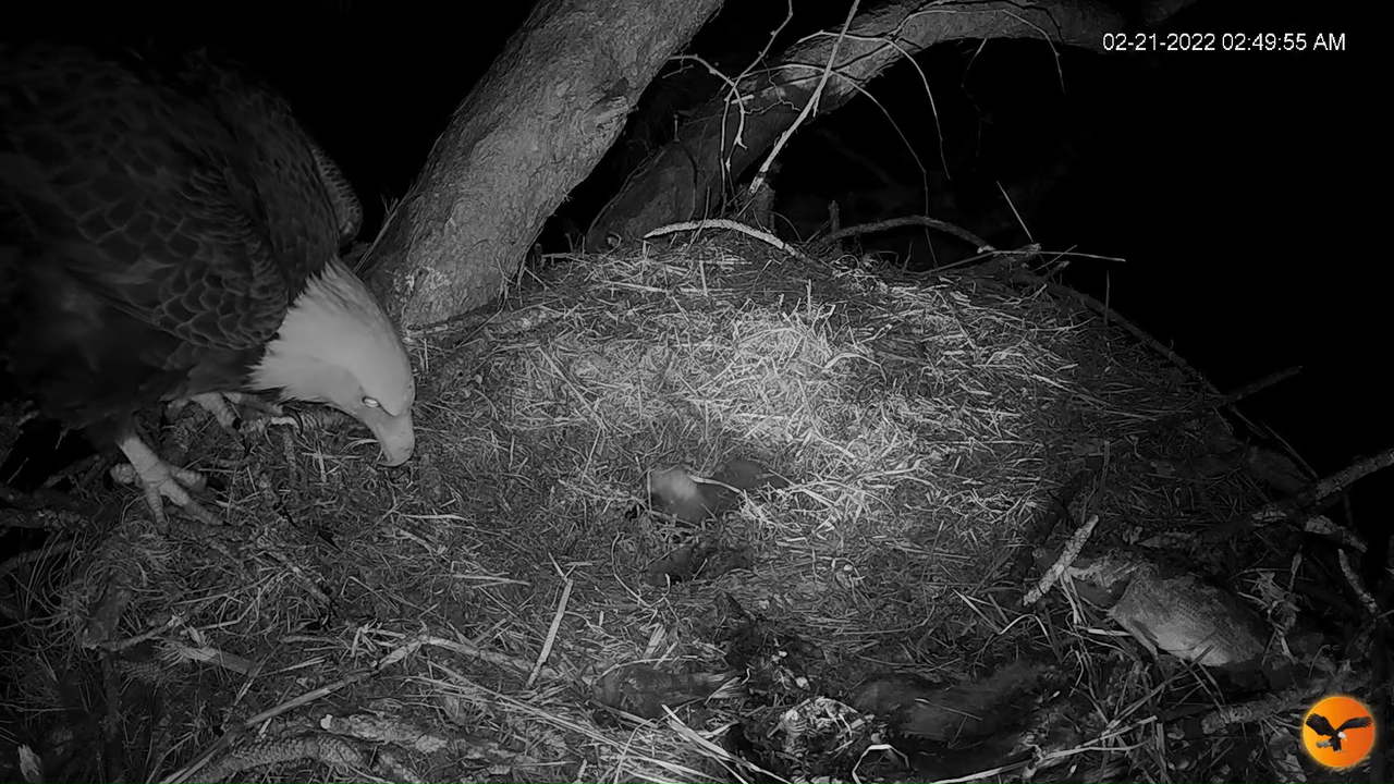 EC 4K Overhead Cam 11-38-6 screenshot