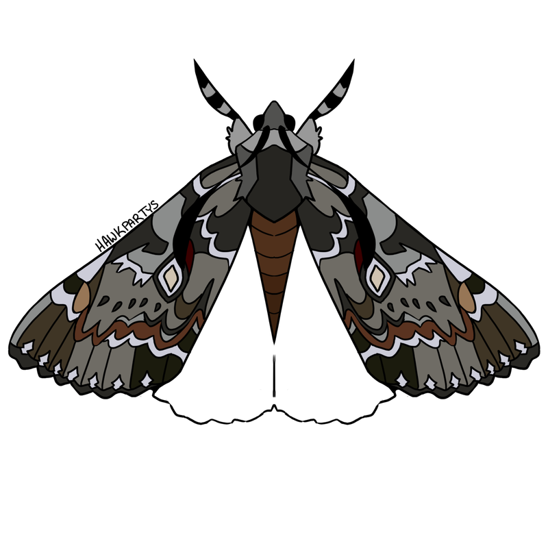 moths1