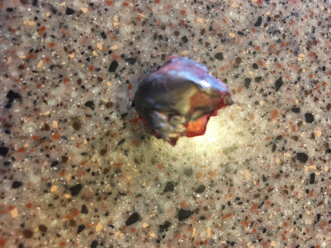 82A6EC00-4BD3-4A72-91C7-57122AAD4226