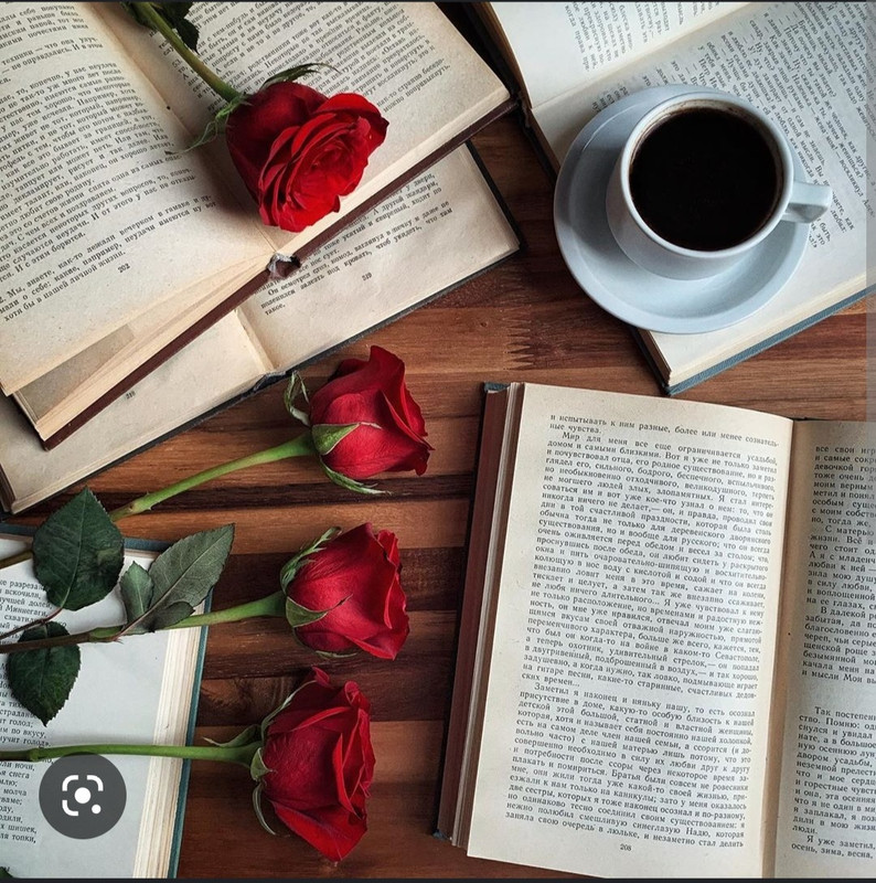 Screenshot_20221126-003723_Chrome