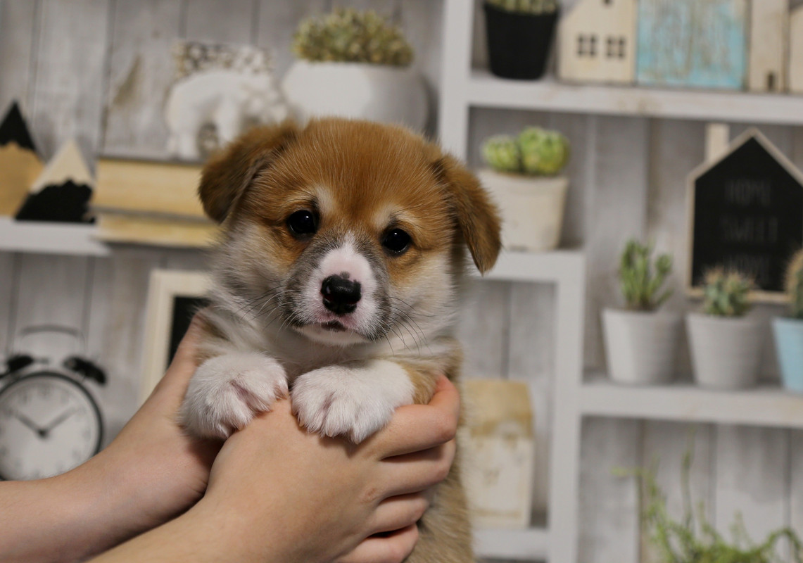 5GnR-bldYu8T8kjeZnwqe8_IHKBksA4e7Bxp2HhDZct-VCjrSPkyBBema1UWRNlksSA_CdrTi62G4BNRAzkQXTUj