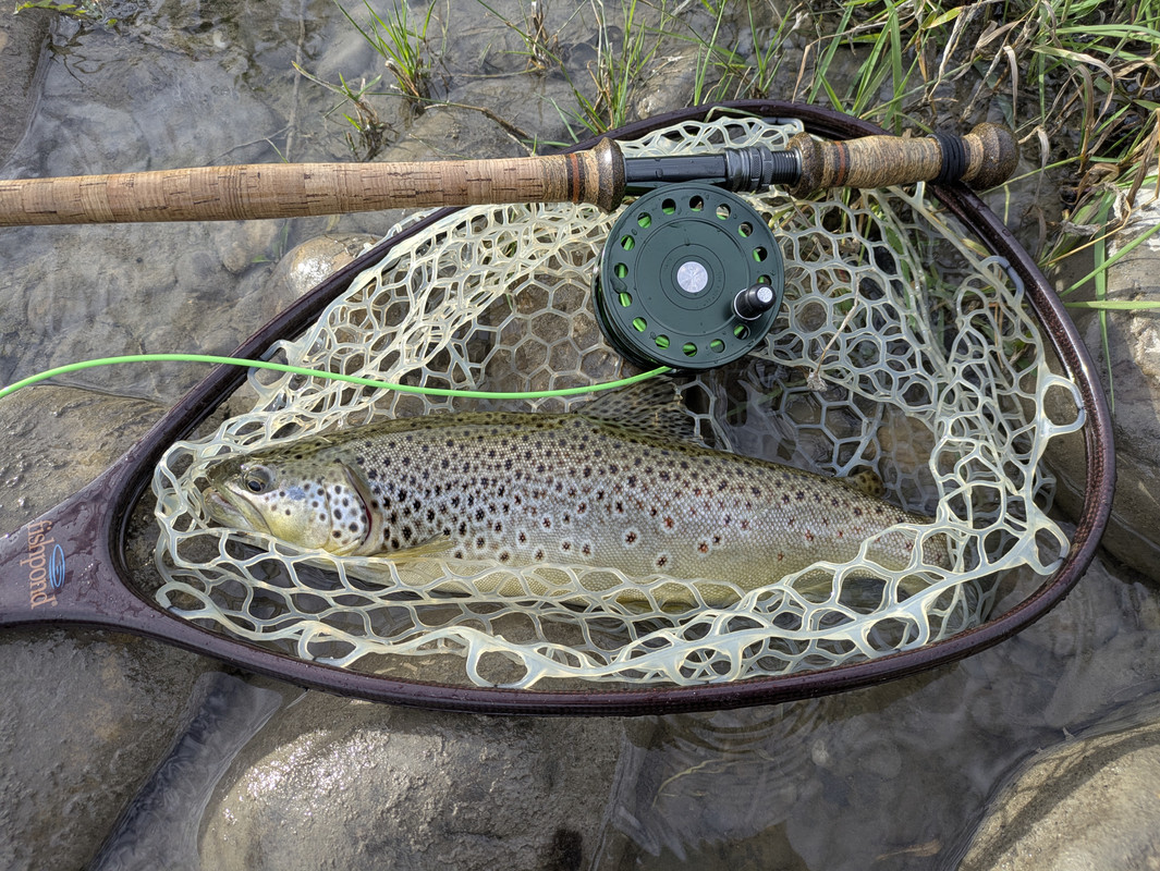 PXL-20250713-132737837-RAW-01-MP-COVER.j