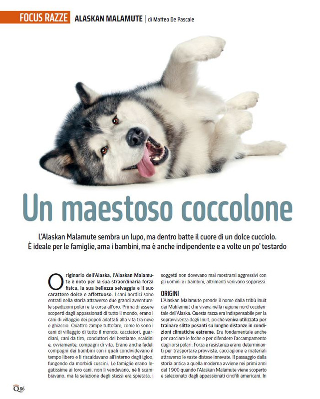 QuattroZampe Feb 2025 (7)