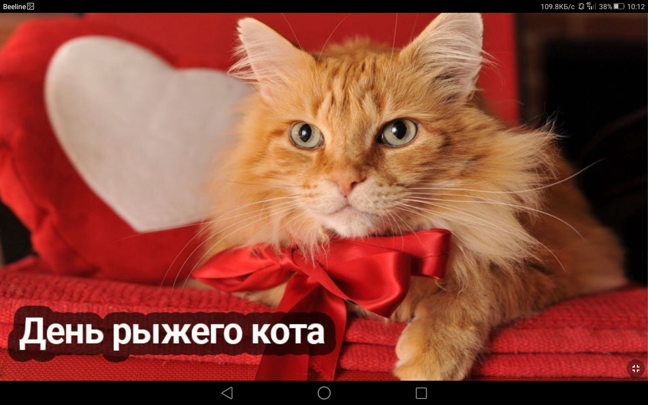 Screenshot_2023-09-18-10-12-18